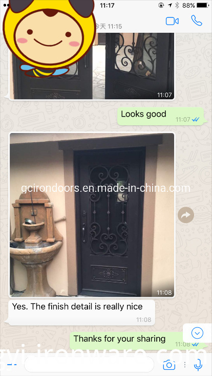 الأبواب الحديدية التصميم الكلاسيكي مع الجانبية